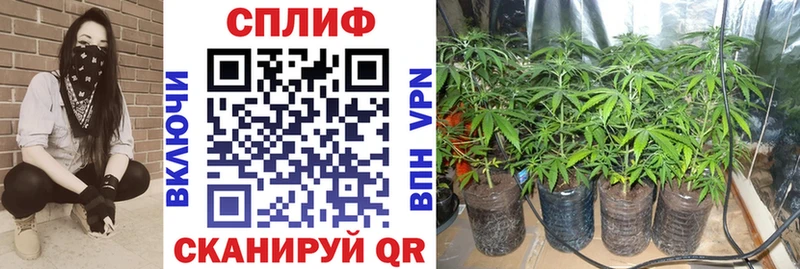 МАРИХУАНА OG Kush Купить Городец
